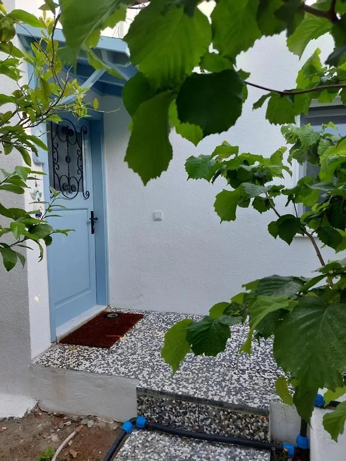 Mel'S Garden House In The Heart Of The City Bodrum Turkey